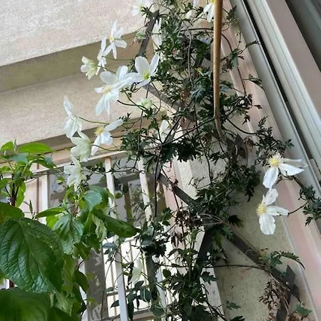 Appartamento Cosy Montparnasse Boudoir Near Luxembourg Gardens