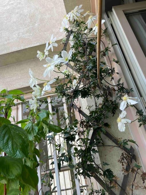 Appartamento Cosy Montparnasse Boudoir Near Luxembourg Gardens