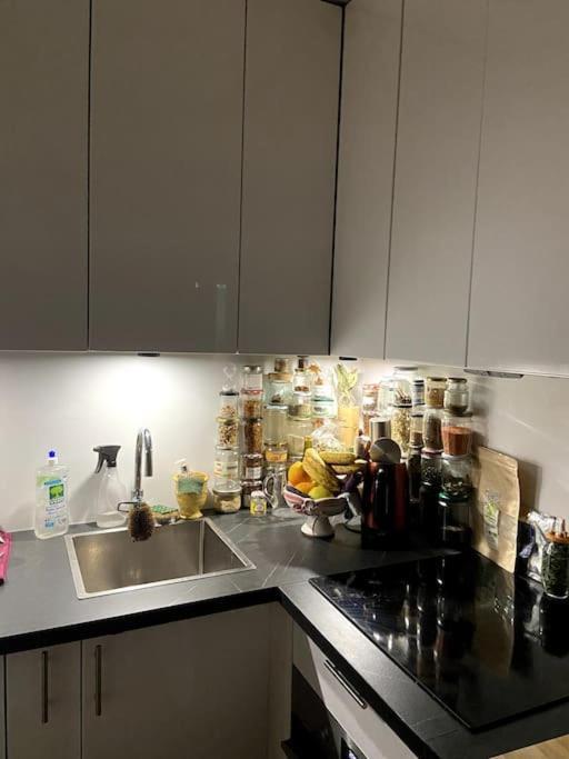 Appartamento Cosy Montparnasse Boudoir Near Luxembourg Gardens Parigi