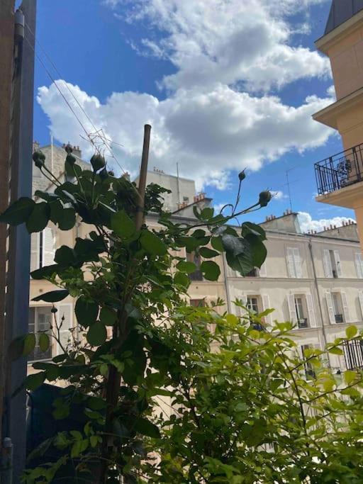 Cosy Montparnasse Boudoir Near Luxembourg Gardens Appartamento Parigi