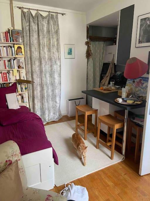 Cosy Montparnasse Boudoir Near Luxembourg Gardens Appartamento Parigi